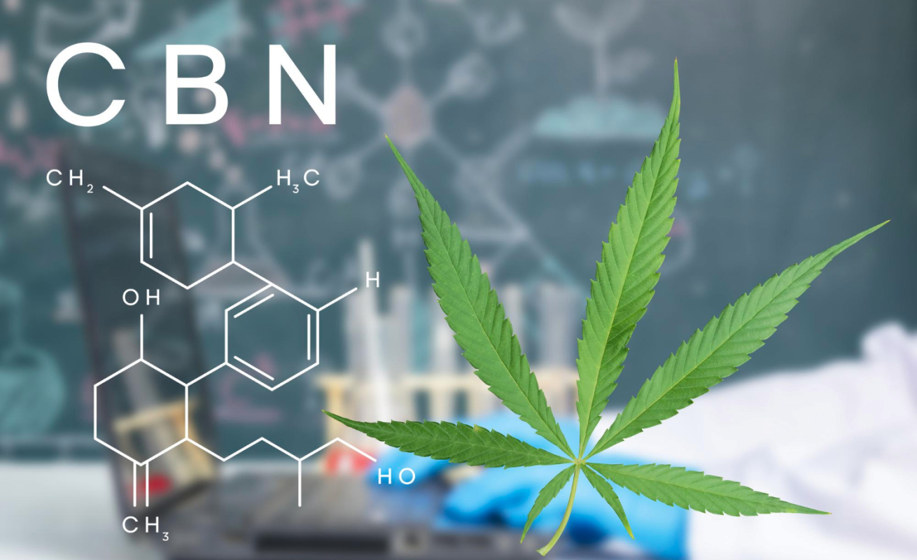 CBN (skrót od cannabinol)
