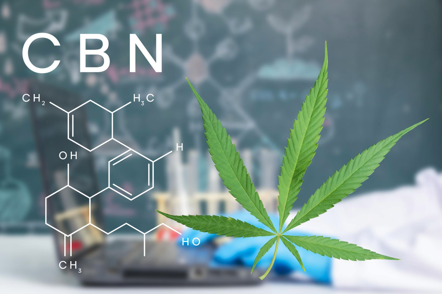 CBN (skrót od cannabinol)