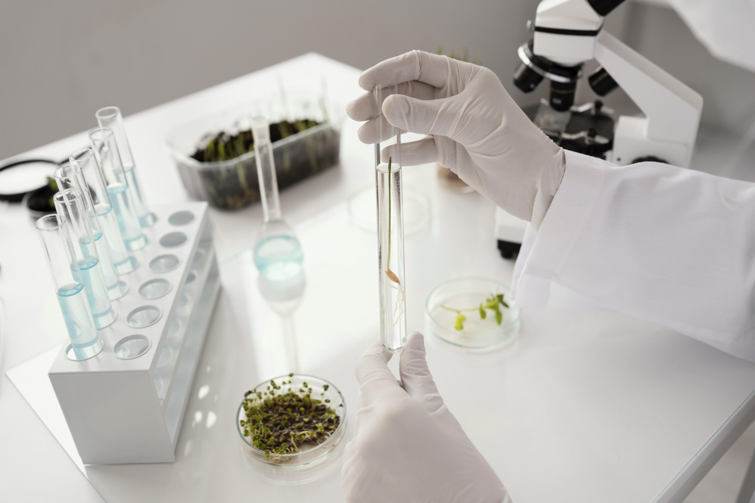 Mroczna storna kannabinoidów syntetycznych