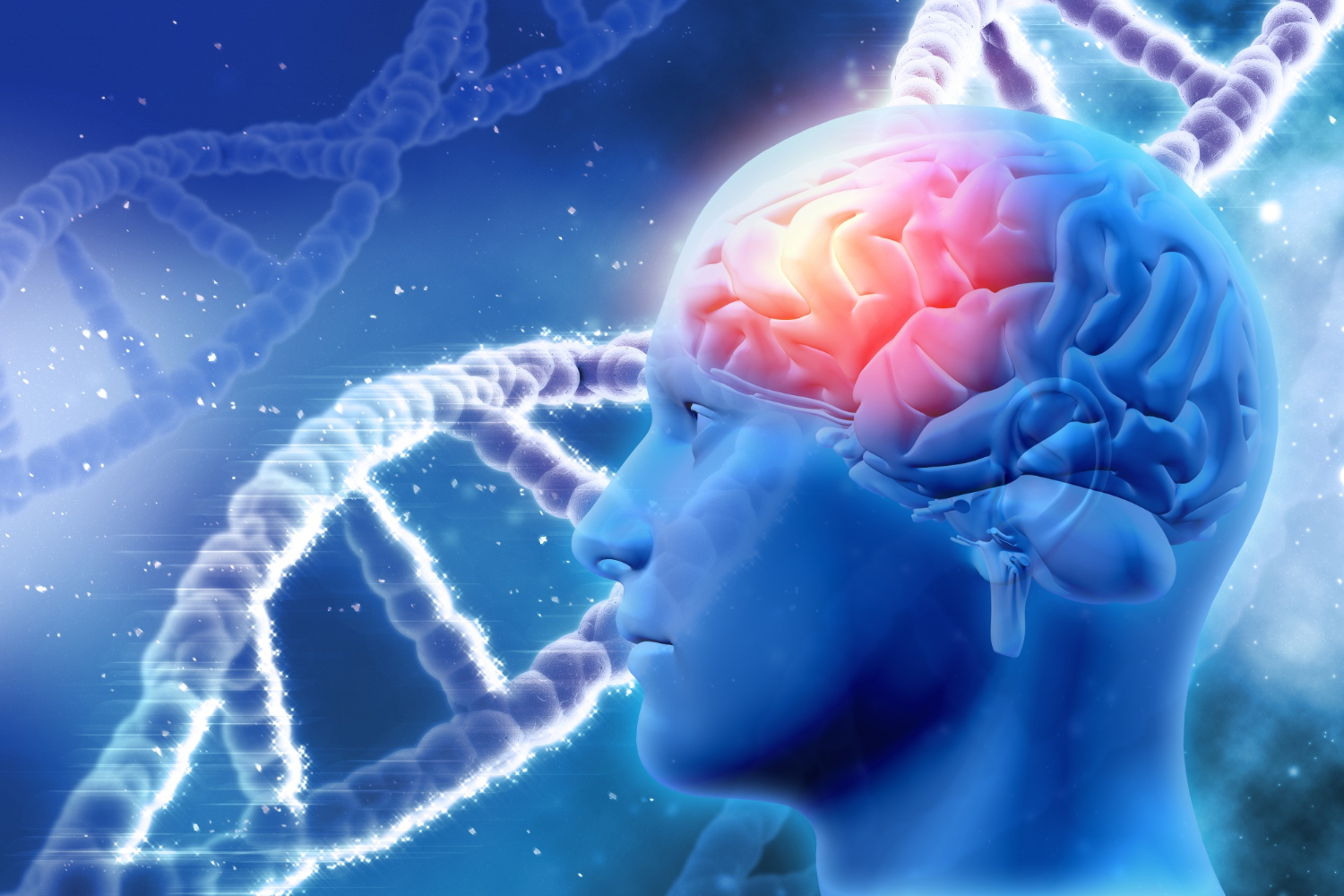 W tym artykule przyjrzymy się, jak CBD może wspierać neurogenezę i jakie są naukowe dowody na jego skuteczność.