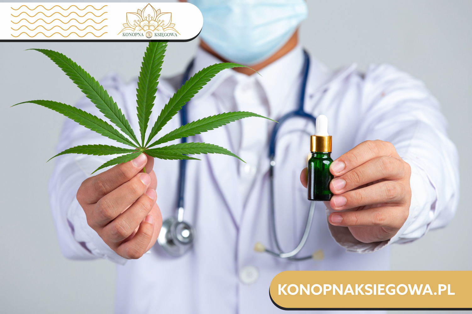 Krople CBD full spectrum, co to takiego? Kompleksowy przewodnik