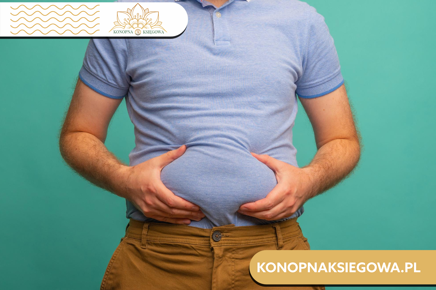 Olej CBD w walce z brzuchem kortyzolowym - Kompleksowy przewodnik