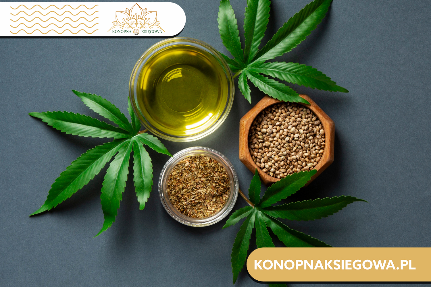 Olej konopny cbd na co pomaga