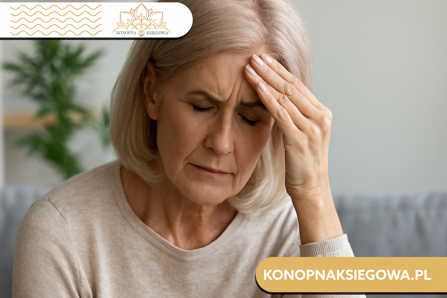 Jakie są przeciwwskazania do spożywania żywności konopnej?