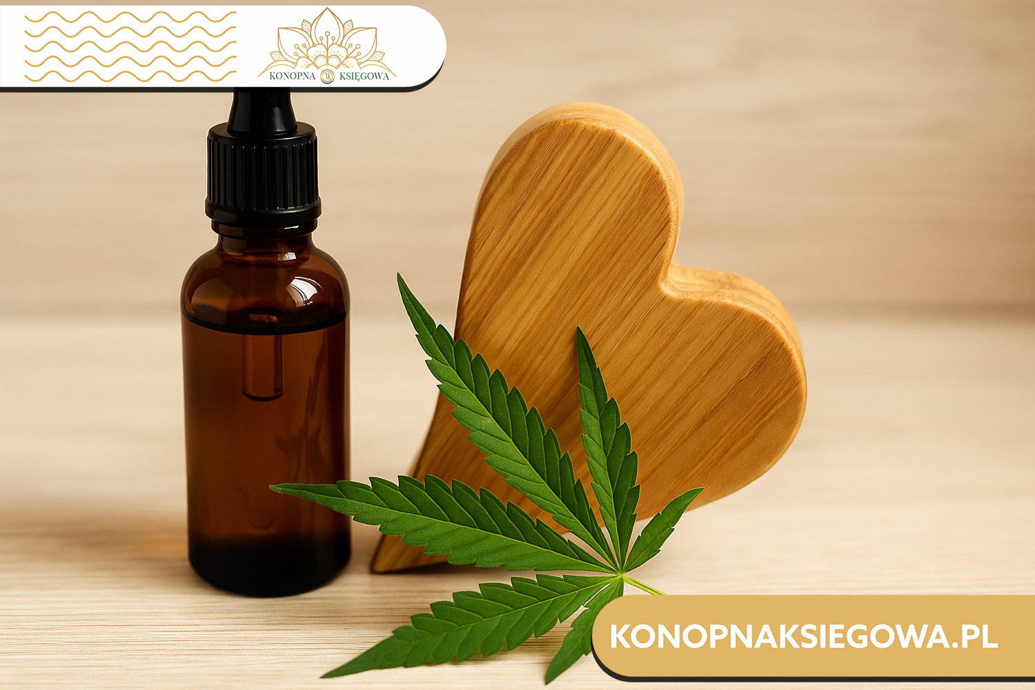 CBD a zdrowie serca – co mówią badania?