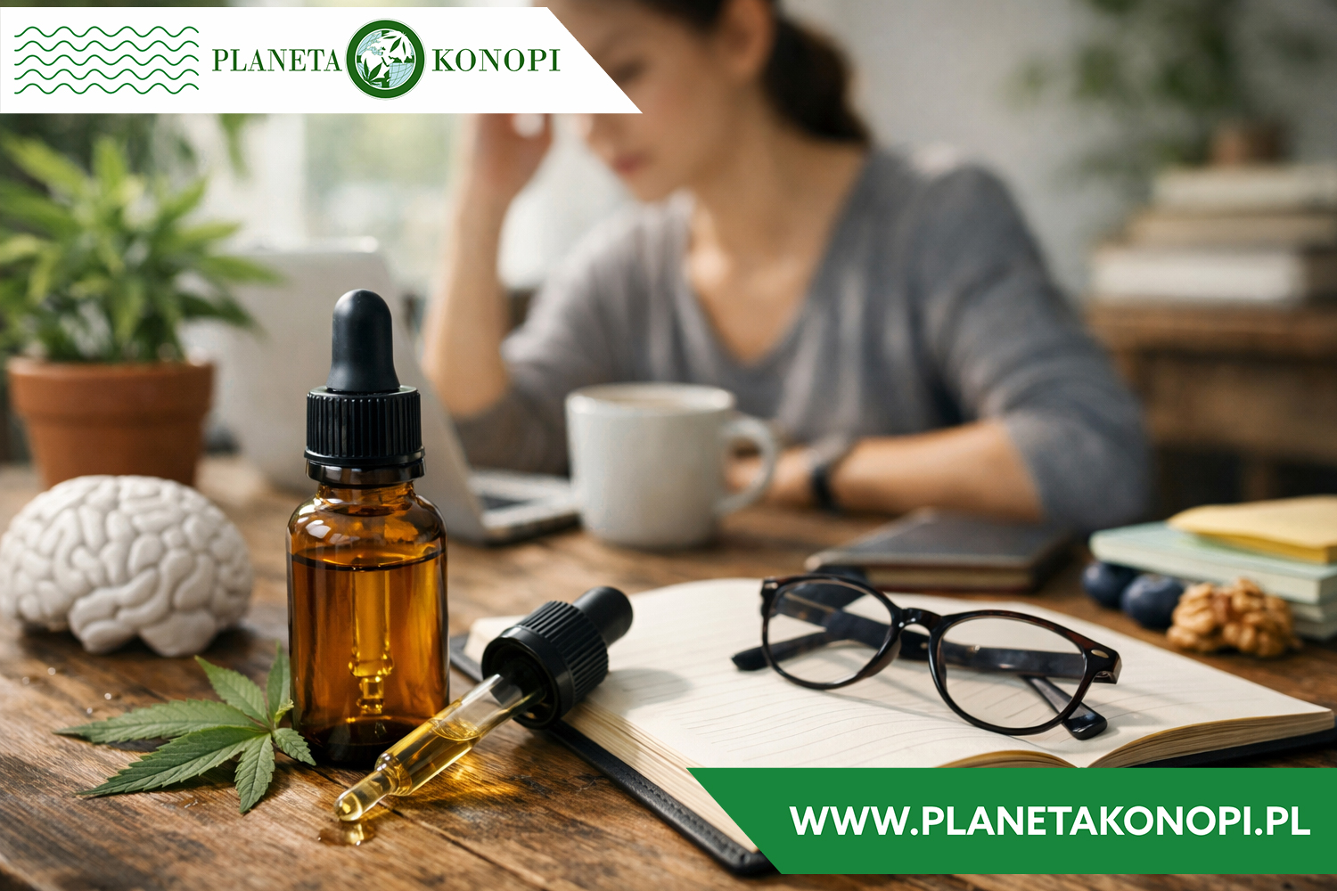 Olejek CBG pamięć koncentracja wsparcie. Naturalny pomocnik w akcji.